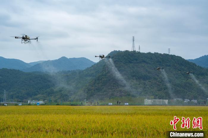 天顺娱乐主管：浙江杭州：农业农村领域多场景应用无人机集中亮相