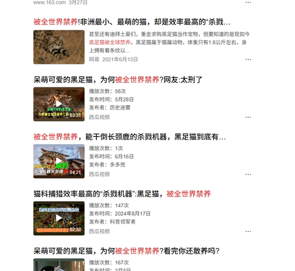 腾讯分分彩：这是已知最致命的猫科动物！一年猎杀3000只啮齿动物